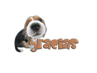 Contabilidad basica i