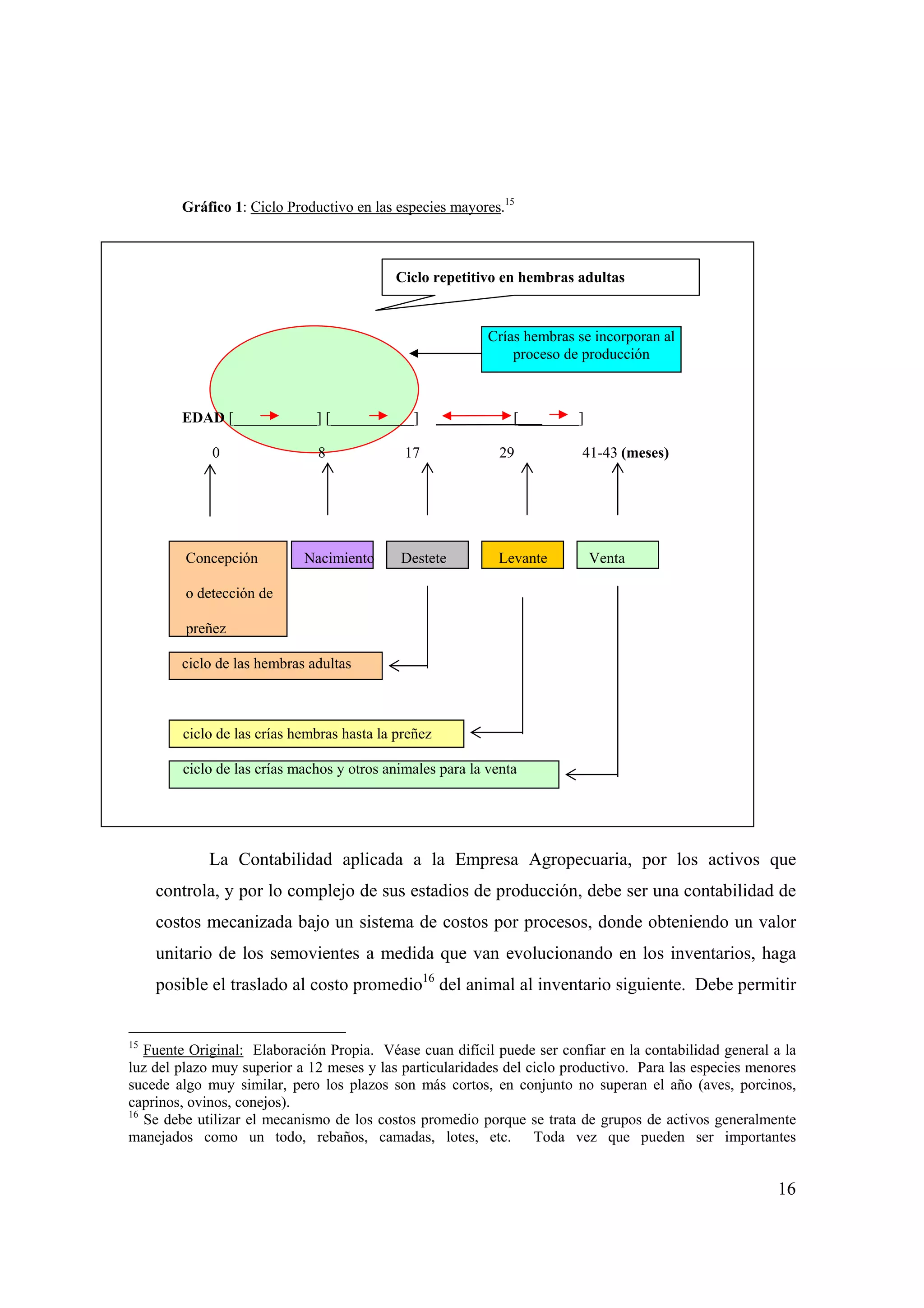 16
Gráfico 1: Ciclo Productivo en las especies mayores.15
Ciclo repetitivo en hembras adultas
EDAD [___________] [___________] [________]
0 8 17 29 41-43 (meses)
Concepción Nacimiento Destete Levante Venta
o detección de
preñez
ciclo de las hembras adultas
ciclo de las crías hembras hasta la preñez
ciclo de las crías machos y otros animales para la venta
La Contabilidad aplicada a la Empresa Agropecuaria, por los activos que
controla, y por lo complejo de sus estadios de producción, debe ser una contabilidad de
costos mecanizada bajo un sistema de costos por procesos, donde obteniendo un valor
unitario de los semovientes a medida que van evolucionando en los inventarios, haga
posible el traslado al costo promedio16
del animal al inventario siguiente. Debe permitir
15
Fuente Original: Elaboración Propia. Véase cuan difícil puede ser confiar en la contabilidad general a la
luz del plazo muy superior a 12 meses y las particularidades del ciclo productivo. Para las especies menores
sucede algo muy similar, pero los plazos son más cortos, en conjunto no superan el año (aves, porcinos,
caprinos, ovinos, conejos).
16
Se debe utilizar el mecanismo de los costos promedio porque se trata de grupos de activos generalmente
manejados como un todo, rebaños, camadas, lotes, etc. Toda vez que pueden ser importantes
Crías hembras se incorporan al
proceso de producción
 