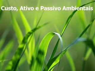 Custo, Ativo e Passivo Ambientais   
