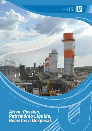 05
Ativo, Passivo,
Patrimônio Líquido,
Receitas e Despesas
 