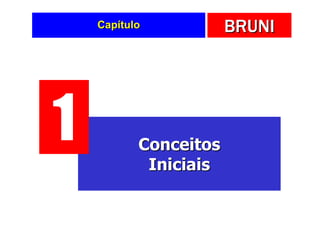 Capítulo           BRUNI




1          Conceitos
            Iniciais
 