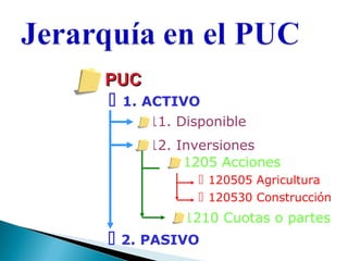 PUC



1. ACTIVO
 11. Disponible
 12. Inversiones
 1205 Acciones
 120505 Agricultura
 120530 Construcción
 1210 Cuotas o partes

 2. PASIVO

 