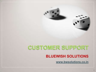 CUSTOMER SUPPORT BLUEWISH SOLUTIONS www.bwsolutions.co.in 1 