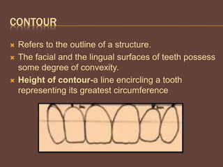 CONTOUR
 Refers to the outline of a structure.
 The facial and the lingual surfaces of teeth possess
some degree of convexity.
 Height of contour-a line encircling a tooth
representing its greatest circumference
 