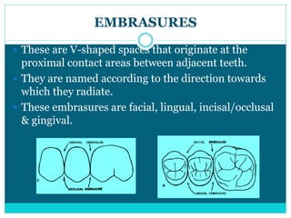 EMBRASURES
 These are V-shaped spaces that originate at the
proximal contact areas between adjacent teeth.
 They are named according to the direction towards
which they radiate.
 These embrasures are facial, lingual, incisal/occlusal
& gingival.
 