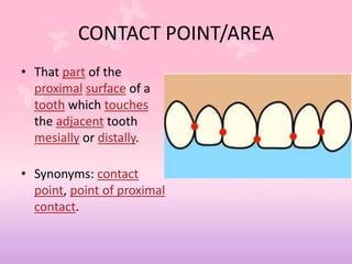 CONTACT POINT/AREA
• That part of the
proximal surface of a
tooth which touches
the adjacent tooth
mesially or distally.
• Synonyms: contact
point, point of proximal
contact.
 