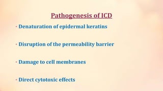 Pathogenesis of ICD
• Denaturation of epidermal keratins
• Disruption of the permeability barrier
• Damage to cell membranes
• Direct cytotoxic effects
 