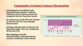 Cumulative Irritant Contact Dermatitis
• Consequence of multiple sub-
threshold skin insults, without
sufficient time between them for
complete barrier function repair
• In contrast to acute ICD, the lesions
of chronic ICD are less sharply
demarcated
• Itching and pain due to fissures of
hyperkeratotic skin are symptoms
of chronic ICD
• Skin findings include
lichenification, hyperkeratosis,
xerosis, erythema, and vesicles
 