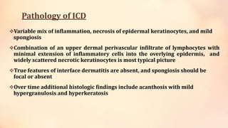 Pathology of ICD
Variable mix of inflammation, necrosis of epidermal keratinocytes, and mild
spongiosis
Combination of an upper dermal perivascular infiltrate of lymphocytes with
minimal extension of inflammatory cells into the overlying epidermis, and
widely scattered necrotic keratinocytes is most typical picture
True features of interface dermatitis are absent, and spongiosis should be
focal or absent
Over time additional histologic findings include acanthosis with mild
hypergranulosis and hyperkeratosis
 