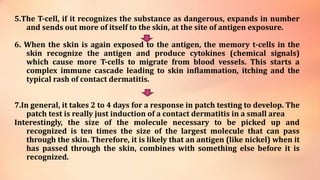 5.The T-cell, if it recognizes the substance as dangerous, expands in number
and sends out more of itself to the skin, at the site of antigen exposure.
6. When the skin is again exposed to the antigen, the memory t-cells in the
skin recognize the antigen and produce cytokines (chemical signals)
which cause more T-cells to migrate from blood vessels. This starts a
complex immune cascade leading to skin inflammation, itching and the
typical rash of contact dermatitis.
7.In general, it takes 2 to 4 days for a response in patch testing to develop. The
patch test is really just induction of a contact dermatitis in a small area
Interestingly, the size of the molecule necessary to be picked up and
recognized is ten times the size of the largest molecule that can pass
through the skin. Therefore, it is likely that an antigen (like nickel) when it
has passed through the skin, combines with something else before it is
recognized.
 