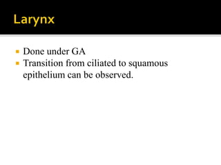  Done under GA
 Transition from ciliated to squamous
epithelium can be observed.
 