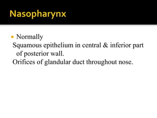  Normally
Squamous epithelium in central & inferior part
of posterior wall.
Orifices of glandular duct throughout nose.
 