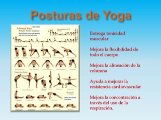 Posturas de YogaEntrega tonicidad muscularMejora la flexibilidad de todo el cuerpoMejora la alineación de la columnaAyuda a mejorar la resistencia cardiovascularMejora la concentración a través del uso de la respiración.