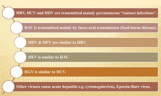 HBV, HCV and HDV are transmitted mainly percutaneous “contact infections”.
HAV is transmitted mainly by faeco-oral transmission )food borne disease(.
HDV & HFV are similar to HBV.
HEV is similar to HAV.
HGV is similar to HCV.
Other viruses cause acute hepatitis e.g. cytomegalovirus, Epstein-Barr virus.
 