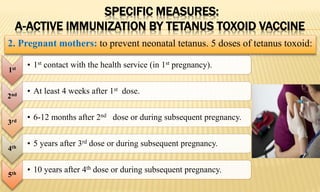 SPECIFIC MEASURES:
A-ACTIVE IMMUNIZATION BY TETANUS TOXOID VACCINE
1st
• 1st contact with the health service (in 1st pregnancy).
2nd
• At least 4 weeks after 1st dose.
3rd
• 6-12 months after 2nd dose or during subsequent pregnancy.
4th
• 5 years after 3rd dose or during subsequent pregnancy.
5th
• 10 years after 4th dose or during subsequent pregnancy.
2. Pregnant mothers: to prevent neonatal tetanus. 5 doses of tetanus toxoid:
 