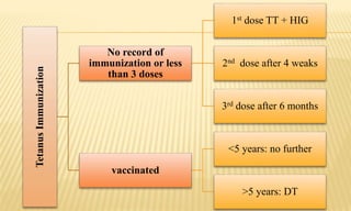 TetanusImmunization
No record of
immunization or less
than 3 doses
1st dose TT + HIG
2nd dose after 4 weaks
3rd dose after 6 months
vaccinated
<5 years: no further
>5 years: DT
 