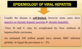 EPIDEMIOLOGY OF VIRAL HEPATITIS
• Usually the disease is self-limited, however some cases show
massive or chronic hepatic necrosis & chronic hepatitis.
• Virus B and C may be complicated by liver cirrhosis &
hepatocellular carcinoma.
• An estimated 248 million people have chronic HBV infection
globally. In Egypt the prevalence is < 2%.
 