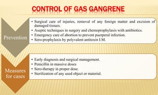 CONTROL OF GAS GANGRENE
Prevention
• Surgical care of injuries, removal of any foreign matter and excision of
damaged tissues.
• Aseptic techniques in surgery and chemoprophylaxis with antibiotics.
• Emergency care of abortion to prevent puerperal infection.
• Sero-prophylaxis by polyvalent antitoxin I.M.
Measures
for cases
• Early diagnosis and surgical management.
• Penicillin in massive doses
• Sero-therapy in proper dose.
• Sterilization of any used object or material.
 