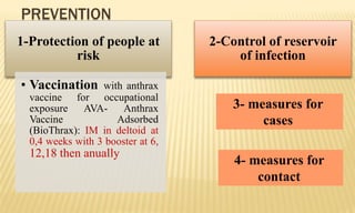 PREVENTION
1-Protection of people at
risk
• Vaccination with anthrax
vaccine for occupational
exposure AVA- Anthrax
Vaccine Adsorbed
(BioThrax): IM in deltoid at
0,4 weeks with 3 booster at 6,
12,18 then anually
2-Control of reservoir
of infection
3- measures for
cases
4- measures for
contact
 