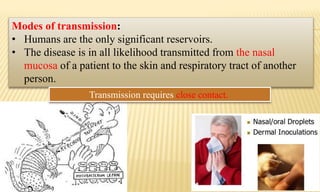 Modes of transmission:
• Humans are the only significant reservoirs.
• The disease is in all likelihood transmitted from the nasal
mucosa of a patient to the skin and respiratory tract of another
person.
Transmission requires close contact.
 