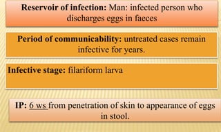 Period of communicability: untreated cases remain
infective for years.
IP: 6 ws from penetration of skin to appearance of eggs
in stool.
Reservoir of infection: Man: infected person who
discharges eggs in faeces
Infective stage: filariform larva
 