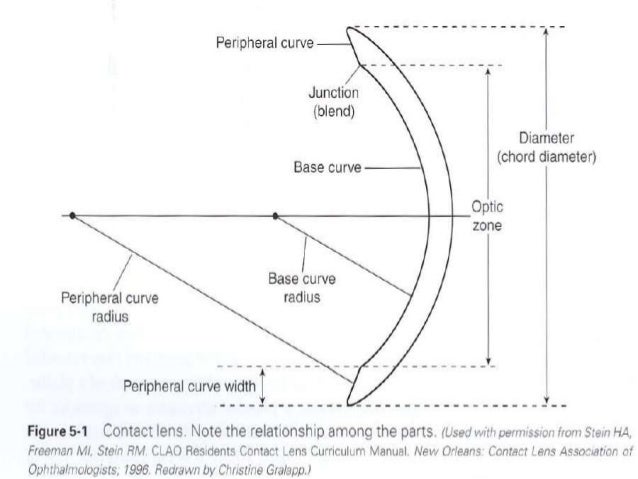 Base Curve Glasses Base Curve Glasses