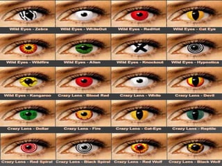 Colored Contact Lens
 