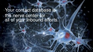 Your contact database is
the nerve center for
all of your Inbound efforts.
 