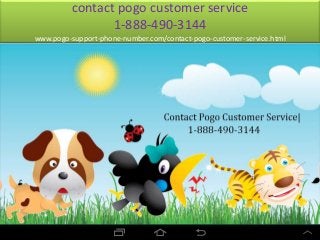 contact pogo customer service
1-888-490-3144
www.pogo-support-phone-number.com/contact-pogo-customer-service.html
 