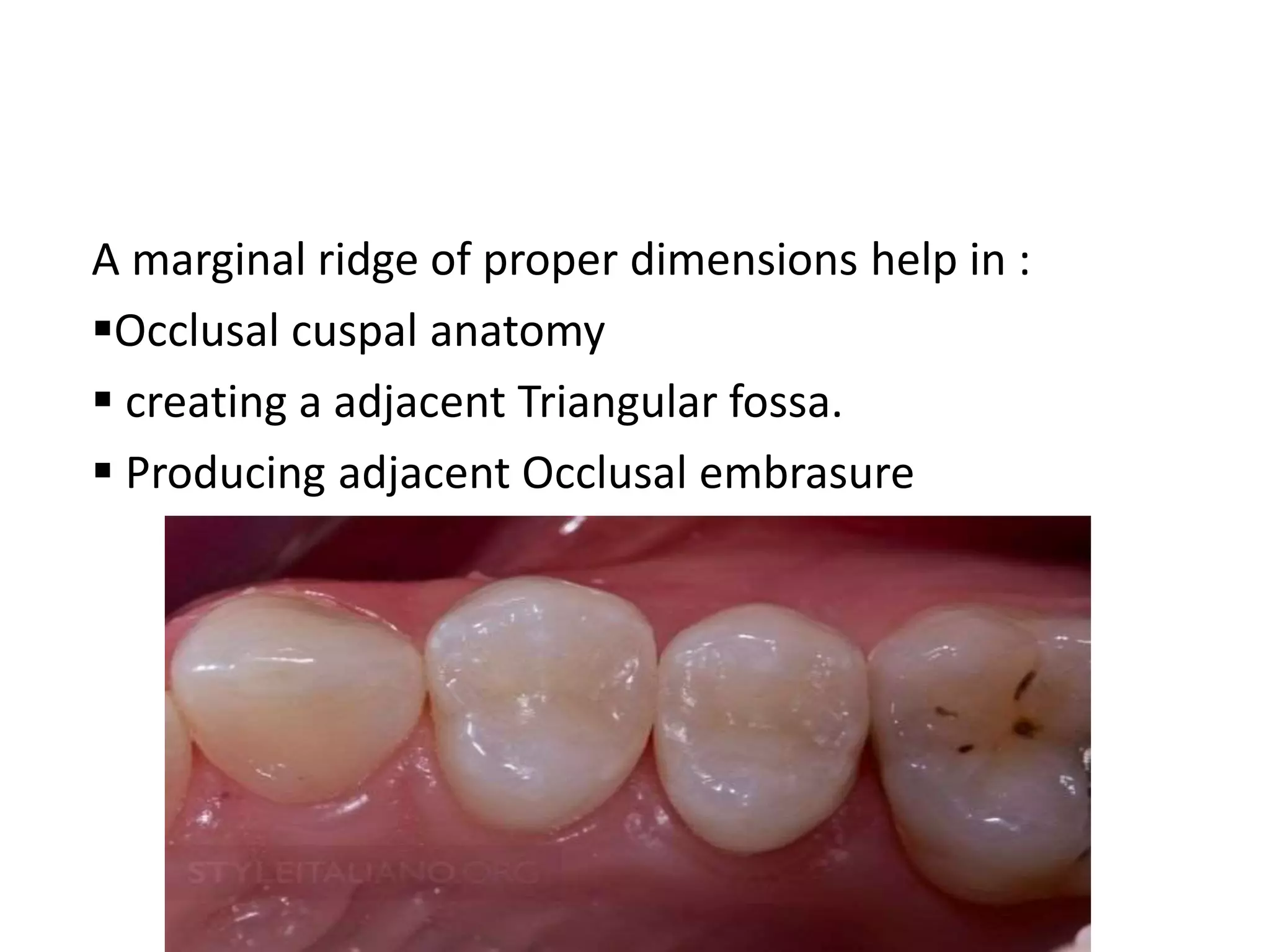 Contacts and Contours | PPTX