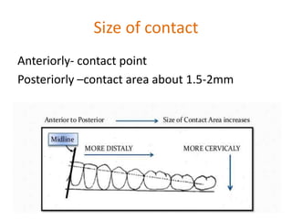 Size of contact
Anteriorly- contact point
Posteriorly –contact area about 1.5-2mm
 