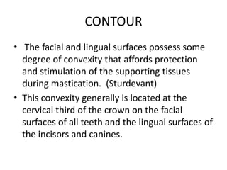 CONTOUR
• The facial and lingual surfaces possess some
degree of convexity that affords protection
and stimulation of the supporting tissues
during mastication. (Sturdevant)
• This convexity generally is located at the
cervical third of the crown on the facial
surfaces of all teeth and the lingual surfaces of
the incisors and canines.
 