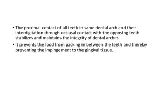 • The proximal contact of all teeth in same dental arch and their
interdigitation through occlusal contact with the opposing teeth
stabilizes and maintains the integrity of dental arches.
• It prevents the food from packing in between the teeth and thereby
preventing the impingement to the gingival tissue.
 