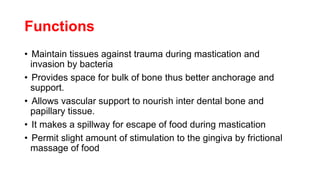 Functions
• Maintain tissues against trauma during mastication and
invasion by bacteria
• Provides space for bulk of bone thus better anchorage and
support.
• Allows vascular support to nourish inter dental bone and
papillary tissue.
• It makes a spillway for escape of food during mastication
• Permit slight amount of stimulation to the gingiva by frictional
massage of food
 