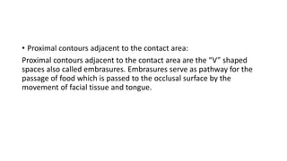 • Proximal contours adjacent to the contact area:
Proximal contours adjacent to the contact area are the “V” shaped
spaces also called embrasures. Embrasures serve as pathway for the
passage of food which is passed to the occlusal surface by the
movement of facial tissue and tongue.
 
