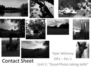 Contact Sheet
Tyler Whitney
DP1 – Per 1
Unit 1: “Good Photo taking skills”
 