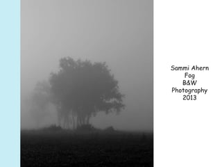 Sammi Ahern
Fog
B&W
Photography
2013