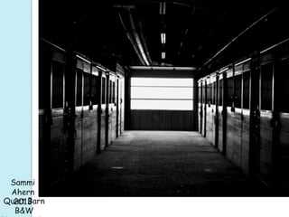 Sammi
Ahern
2013Quiet Barn
B&W