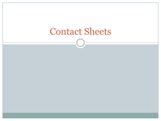 Contact Sheets
 