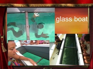 glass boat 
