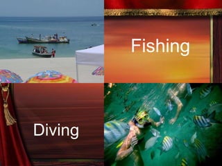 Fishing  Diving   