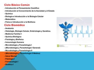 Ciclo Básico Común
- Introducción al Pensamiento Científico
- Introducción al Conocimiento de la Sociedad y el Estado
- Química
- Biología e Introducción a la Biología Celular
- Matemática
- Física e Introducción a la Biofísica
Ciclo Biomédico
- Anatomía
- Histología, Biología Celular, Embriología y Genética.
- Medicina Familiar I
- Química Biológica
- Fisiología y Biofísica
- Inmunología Humana
- Microbiología y Parasitología I
- (Microbiología y Parasitología I General)
- Microbiología y Parasitología II
- (Microbiología y Parasitología II Médica)
- Salud Mental
- Patología I
- Farmacología I
- Bioética I
 