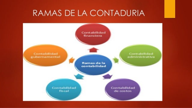 Contaduría pública