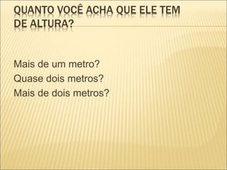 QUANTO VOCÊ ACHA QUE ELE TEM 
DE ALTURA? 
Mais de um metro? 
Quase dois metros? 
Mais de dois metros? 
 