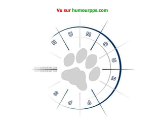 Vu sur  humourpps.com 