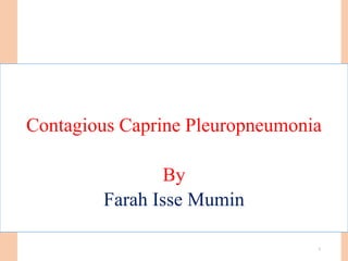 Contagious Caprine Pleuropneumonia
By
Farah Isse Mumin
1
 
