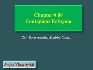Orf, Sore mouth, Scabby Mouth
Amjad Khan Afridi
Chapter # 06
Contagious Ecthyma
 