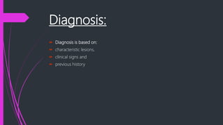 Diagnosis:
 Diagnosis is based on:
 characteristic lesions,
 clinical signs and
 previous history
 