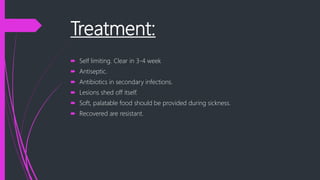 Treatment:
 Self limiting. Clear in 3-4 week
 Antiseptic.
 Antibiotics in secondary infections.
 Lesions shed off itself.
 Soft, palatable food should be provided during sickness.
 Recovered are resistant.
 