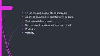  It is infectious disease of sheep and goats
 Lesions on muzzles, lips, and stomatitis on teats.
 Most susceptible are young
 Also reported in musk ox, reindeer and camel.
 Morbidity
 Mortality
 
